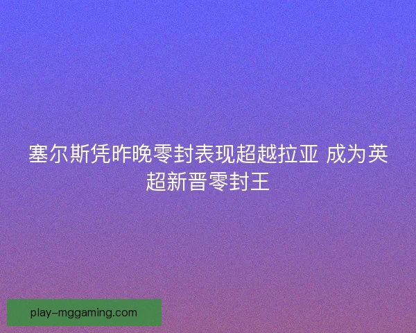 塞尔斯凭昨晚零封表现超越拉亚 成为英超新晋零封王
